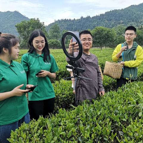 青山钢铁全球卓越表现揭秘，钢铁行业世界排名探究