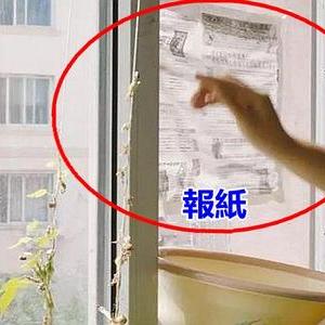 连云港家政公司排名榜揭晓，优质服务标杆企业榜单出炉！