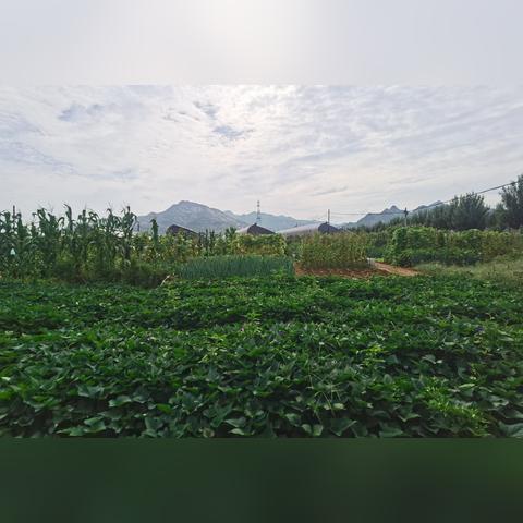 山村农庄探秘，自然与文化交织的完美旅游攻略