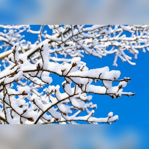 大雪高潮音乐最新版下载与安装指南