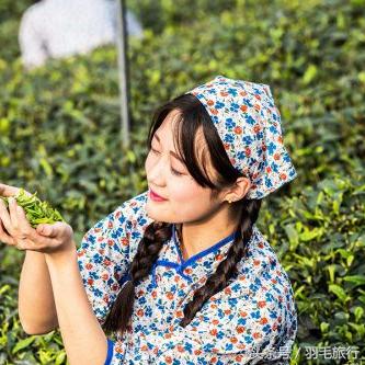 雅安旅游攻略，自然与文化交融的完美体验