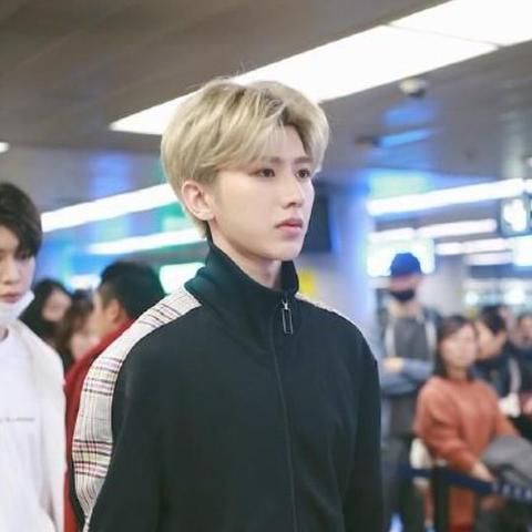 鸟之将死