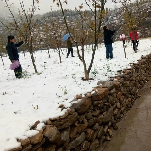 涉县冬季旅游攻略，冰雪之城魅力探索