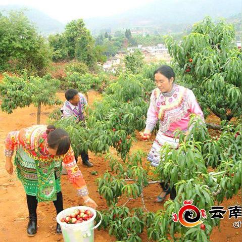 塑木栈道施工规范解读，打造高品质户外空间的秘诀