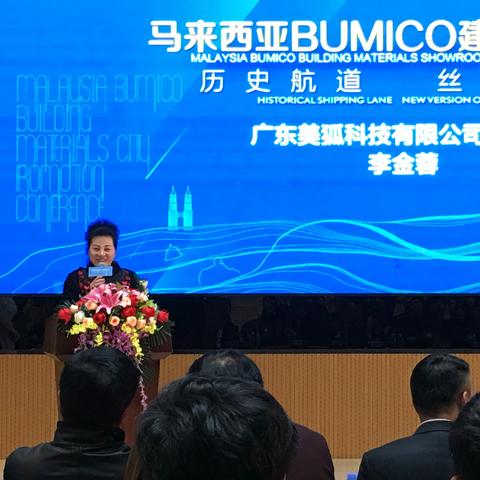 揭秘百度网盘中的神秘现象，狐色折火解析