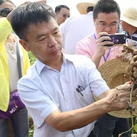 高密新闻聚焦，城市发展与民生热点同步更新