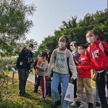 深圳出发旅游攻略，揭秘最新旅行路线探索之旅