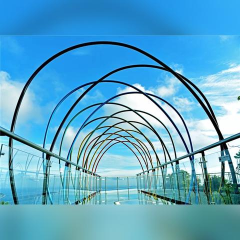 2025年5月 第161页