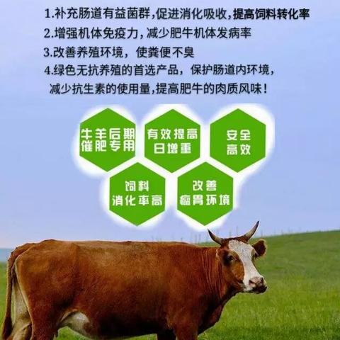 一言九鼎 第8页