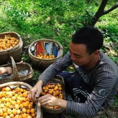 今日采摘热点新闻速递，最新消息一网打尽