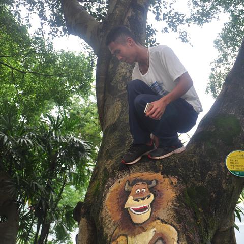 新疆熊猫旅游指南，探寻天山脚下的国宝熊猫之旅