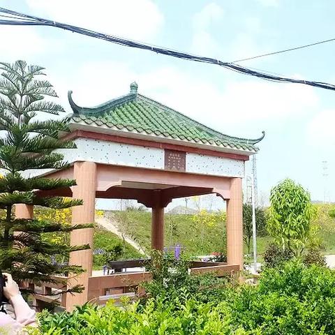 惠州惠阳绿道骑行全攻略，最新指南，畅游无限！
