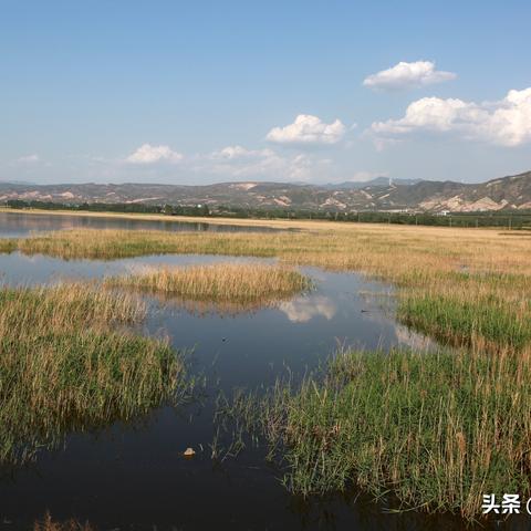 盐池水位最新动态，今日查询，掌握最新水情