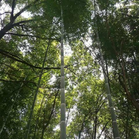 长沙旅游防晒全攻略，阳光下的美景，如何尽情享受不受晒伤困扰？