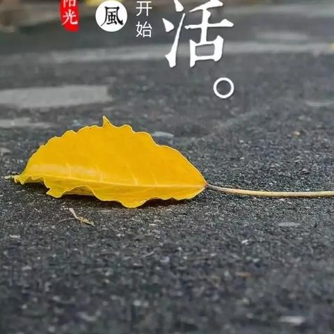 励志语录短句精选，好学励志，踏上梦想之路