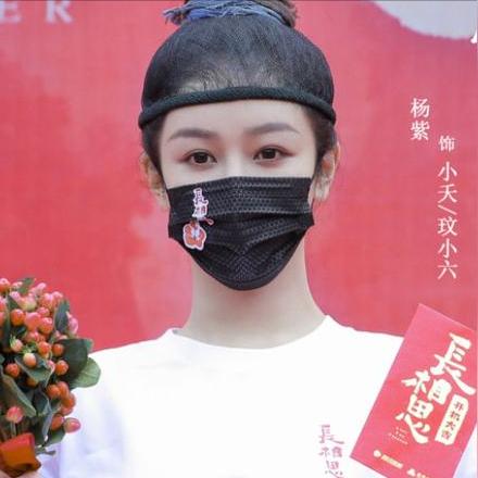 承欢记最新完整版，深度解读家庭情感与人性的佳作