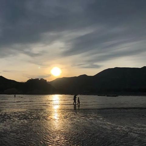 珠海长隆海洋攻略，探秘奇趣海洋世界