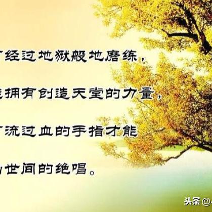 励志心灵语录，激励自我，成就非凡人生