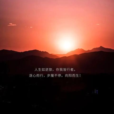 2025年5月 第398页