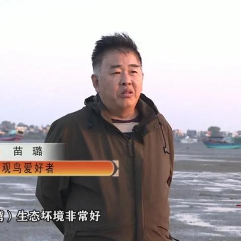 揭秘儋州魅力，头条新闻带你探寻城市故事