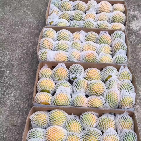江西食品行业精英齐聚一堂，最新顶级人才名单揭晓，共绘产业未来蓝图