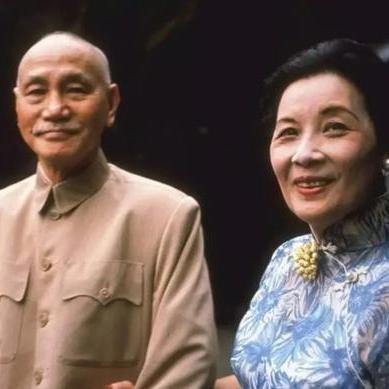 揭秘股市风云，今日龙头股最新动态预测及解析