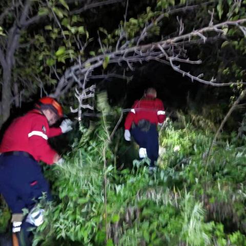 梦幻西游金宝团队攻略深度解析