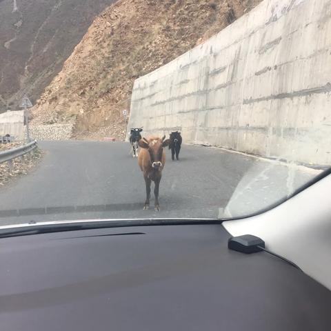 七月份川藏线之旅，绝美攻略，不容错过！
