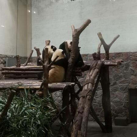 西安至泸沽湖梦幻之旅，详尽攻略一网打尽！