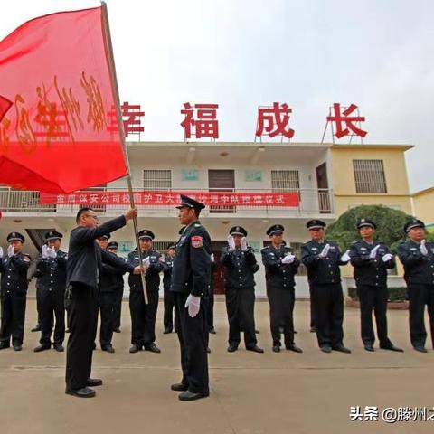 山东滕州公司排行榜及影响力深度解析