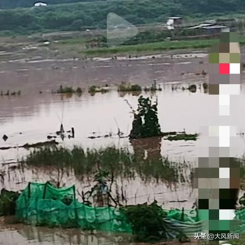 易俗河暴雨实时更新，最新情况报告全解析