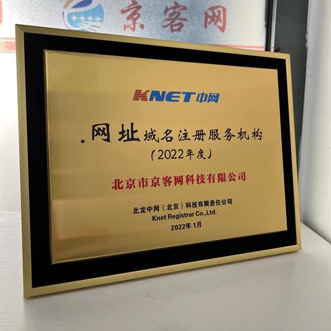 世界网址排名TOP10揭秘，探索互联网最顶尖站点