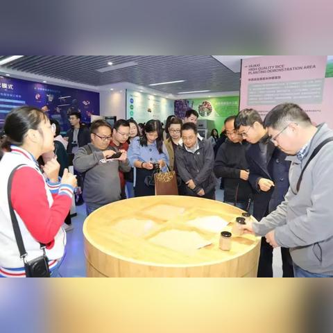 江阴最新新闻头条概览