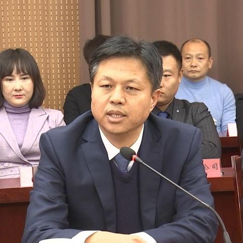 肃宁黄金最新价格走势分析，市场动态与趋势解读