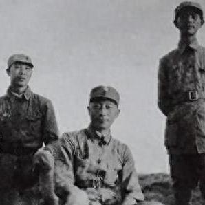 工业废弃物处理公司权威排名揭晓，助力绿色生态，共创美好未来！