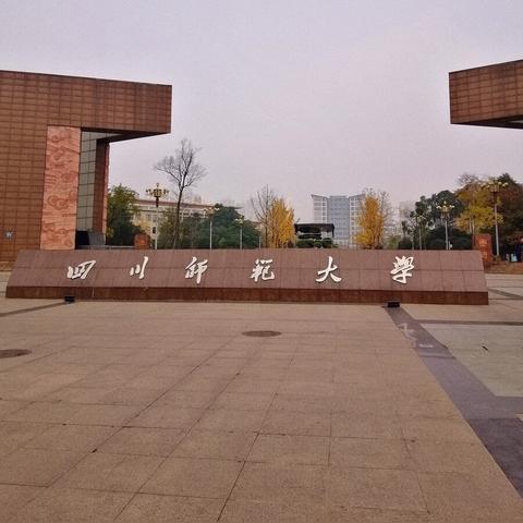 四川最新动态速递，头条新闻聚焦四川发展