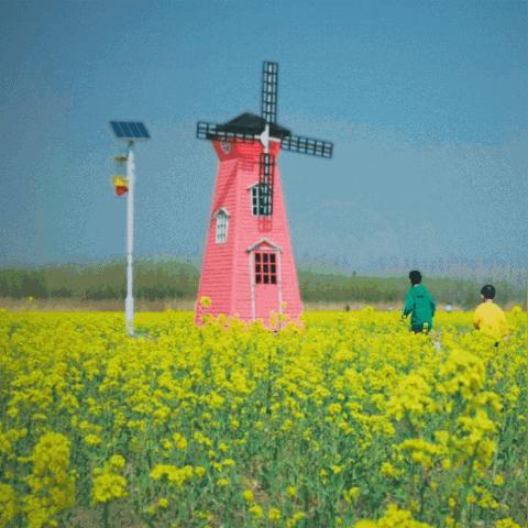 最新春季旅游攻略，探访通城，春光无限好