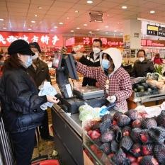 独家爆料，朱雀升级攻略最新章节全面解析