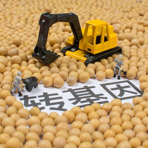 2025年5月28日 第9页