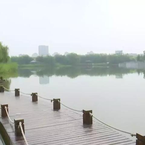 辛集暴雨最新动态，城市暴雨应对攻略