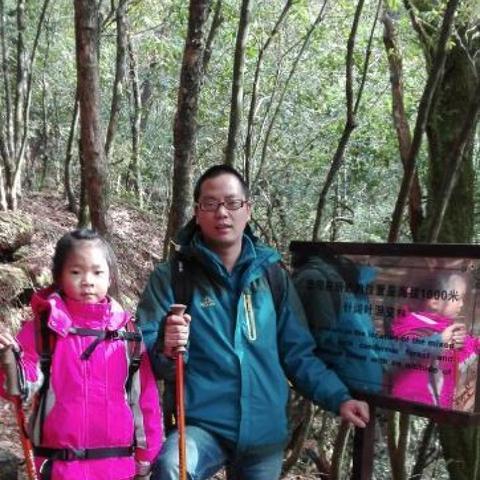 爬塔攻略大揭秘，最新组合助你轻松征服高峰！