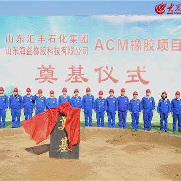 山东橡胶公司排行榜揭晓，行业巨头探秘