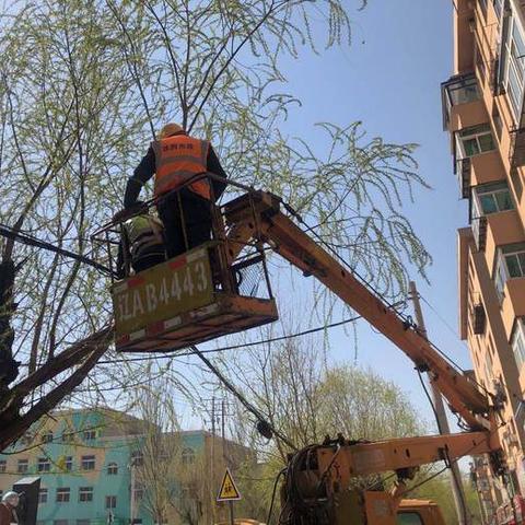 沈阳线缆公司排行榜揭晓，行业佼佼者一览无余