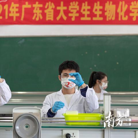 广东八月游玩攻略，畅游最佳指南