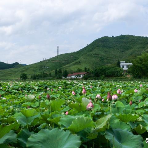 桂阳独家旅游攻略，揭秘最佳游玩指南！