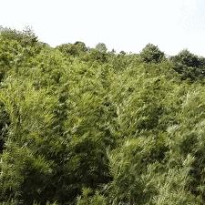遵义最新动态速递