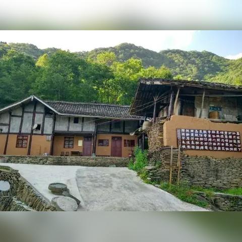 青川新闻热点速递，探索精彩瞬间的最新动态