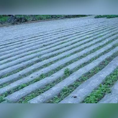 山东食用菌防寒公司排名揭晓，引领产业稳健发展专业护航
