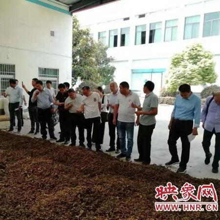 尉氏与信阳新闻交融，地方新闻的力量与魅力展现
