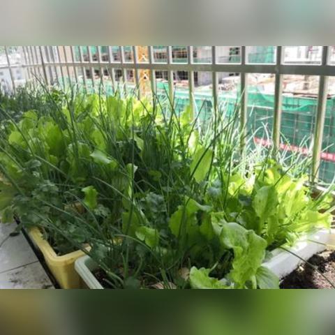 速食汉堡界TOP10榜单揭晓，精美图片展示